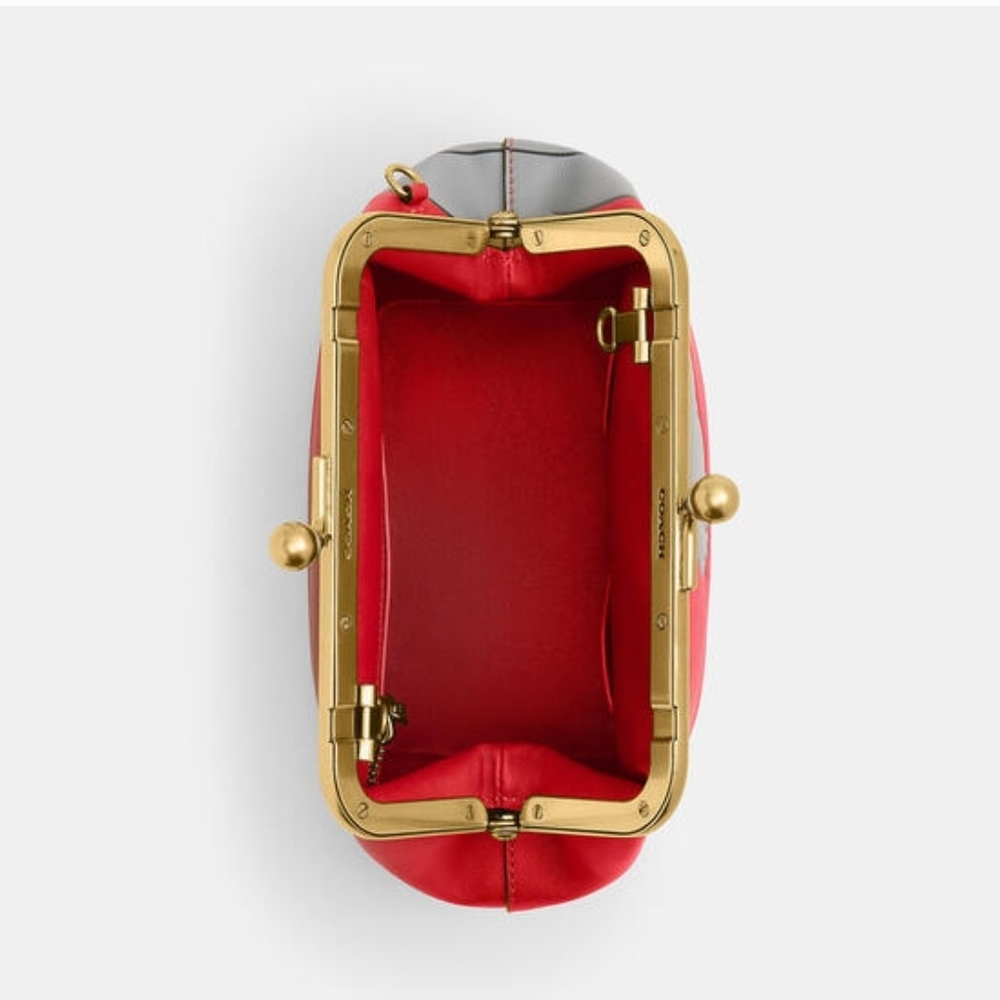 Disney X Coach Kisslock Frame Bag With Pluto - Picture 13 of 13